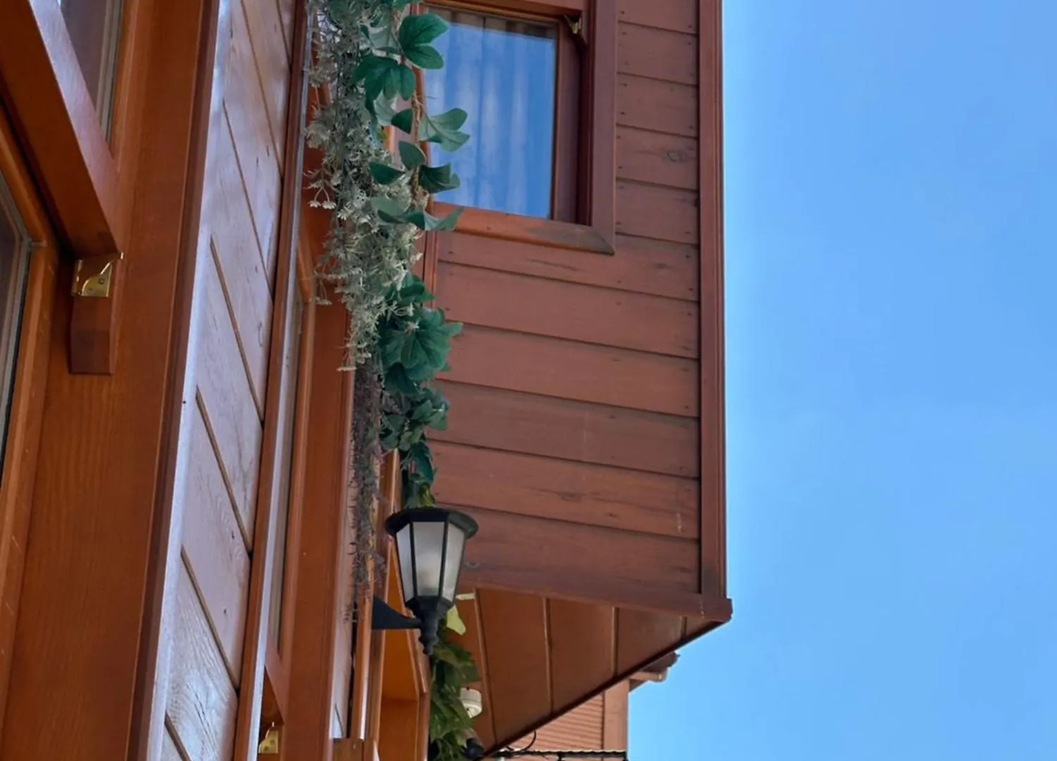 Tree House Otel Stambuł